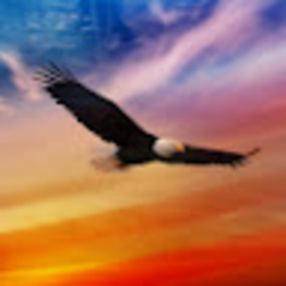 Meet your Posher, Alan - Picture 1 of 1